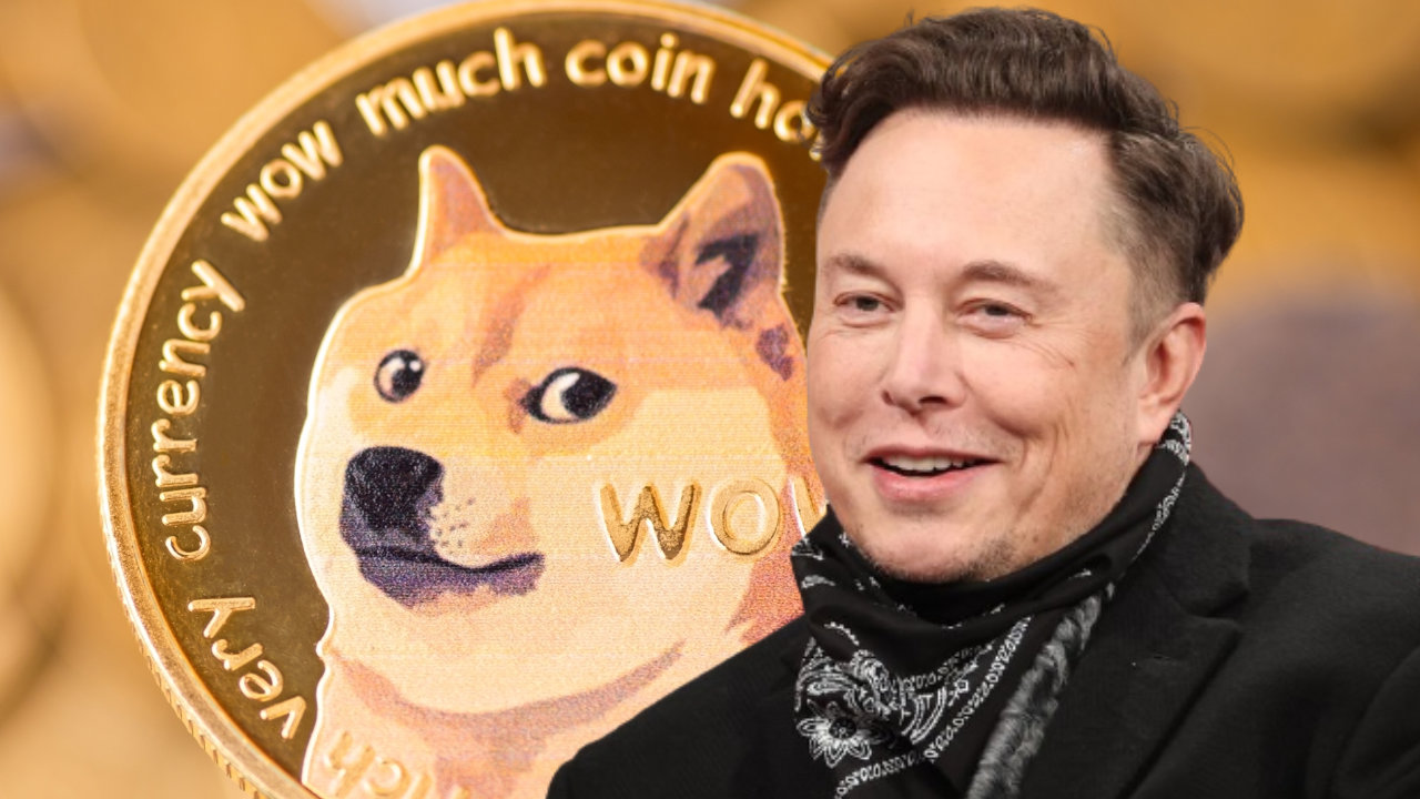 Elon Musk Calls Binance's Dogecoin Problem 'Shady'