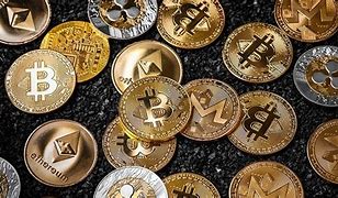 Bitcoins survival in crypto meltdown