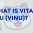 What is Vita Inu