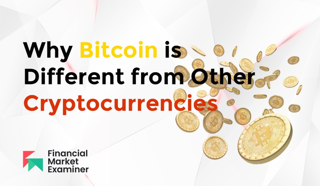 bitcoin and cryptocurrency