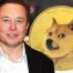 How Elon Musk Influence The Dogecoin Price Again